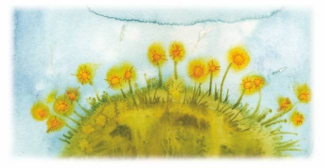 Все о феях - _76.jpg