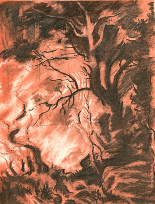 Поселок Тополи - i_006.jpg