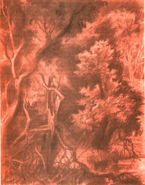 Лисья нора - i_005.jpg