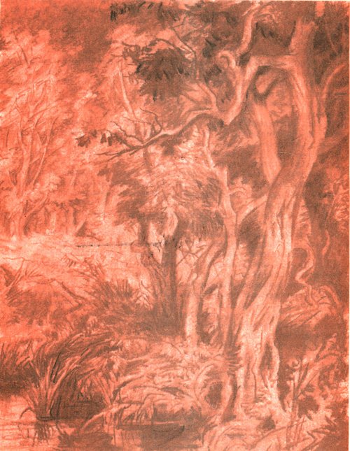 Лисья нора - i_006.jpg