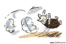 Винни-Пух и Все-Все-Все - i_069.jpg