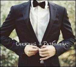 Книга Снежный и Разбойник (СИ)