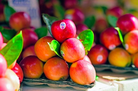 Бангкок и Паттайя. Путеводитель - i_130.jpg