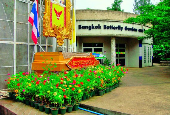 Бангкок и Паттайя. Путеводитель - i_142.jpg