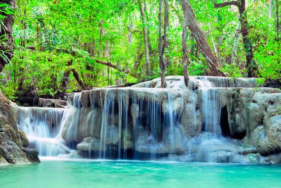 Бангкок и Паттайя. Путеводитель - i_156.jpg