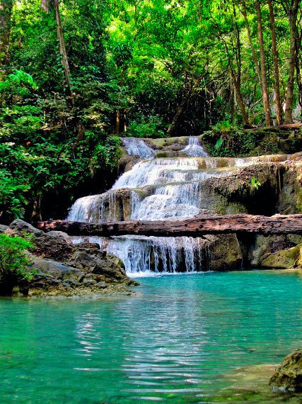 Бангкок и Паттайя. Путеводитель - i_158.jpg