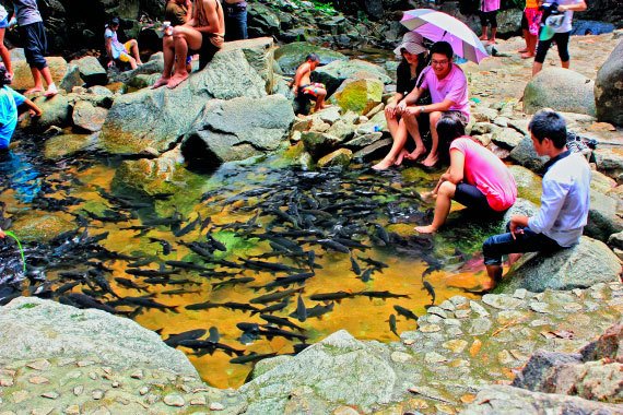 Бангкок и Паттайя. Путеводитель - i_161.jpg