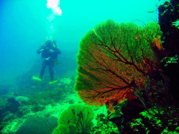 Бангкок и Паттайя. Путеводитель - i_234.jpg