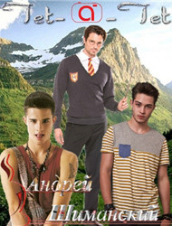 Книга Тет-А-Тет (СИ)