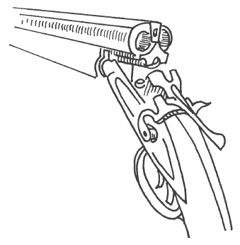 Современная энциклопедия охоты - i_013.png