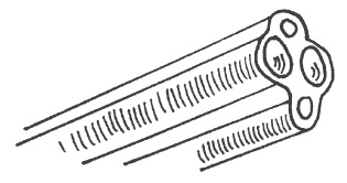 Современная энциклопедия охоты - i_014.png