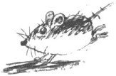 Мышарики. Книга Мышей для больших и малышей - i_007.jpg