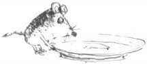 Мышарики. Книга Мышей для больших и малышей - i_015.jpg