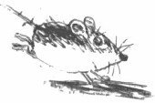 Путешествие в Мышляндию. Книга Мышей для больших и малышей - i_057.jpg