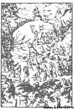 Ведьма - doc2fb_image_03000015.jpg