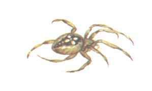 Бережок. Стихи и рассказы - i_004.jpg