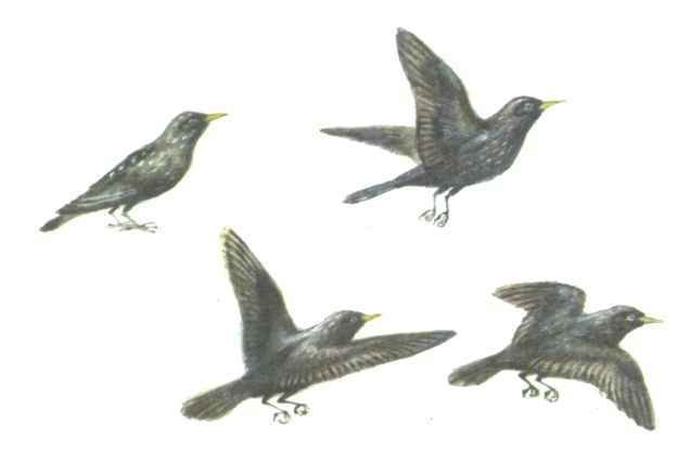 Бережок. Стихи и рассказы - i_029.jpg