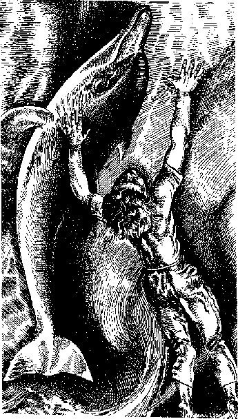 Грот афалины - any2fbimgloader17.jpg