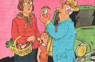 Новосёлы - any2fbimgloader39.jpeg