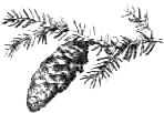 Дом шалунов - _16.png