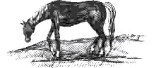 Дом шалунов - _26.png