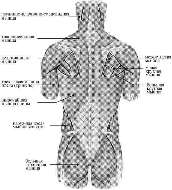 Краткий справочник необходимых знаний - i_170.jpg