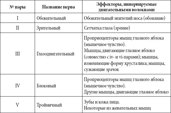 Краткий справочник необходимых знаний - i_187.png