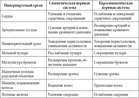 Краткий справочник необходимых знаний - i_189.png