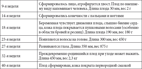 Краткий справочник необходимых знаний - i_197.png