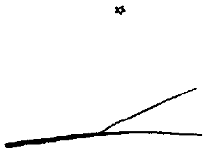 Сент-Экзюпери - bio002it13.png