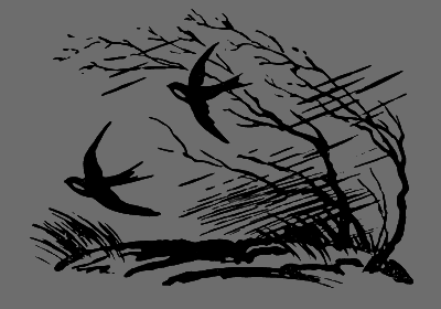 В лесах счастливой охоты - i_071.png