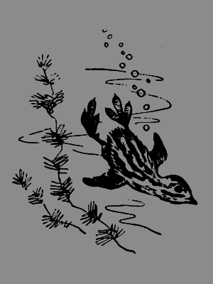 В лесах счастливой охоты - i_104.png