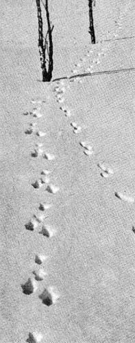 Силуэты на облаках - i_045.jpg