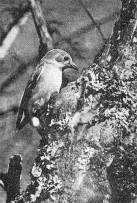 Силуэты на облаках - i_087.jpg