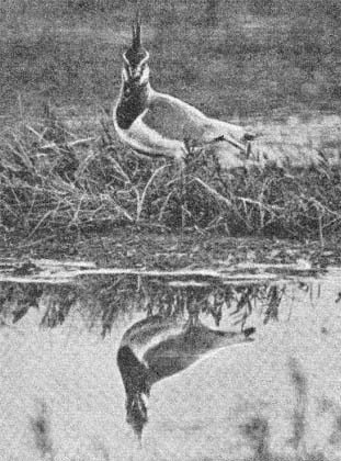 Силуэты на облаках - i_095.jpg