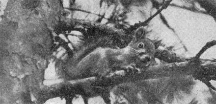 Силуэты на облаках - i_098.jpg