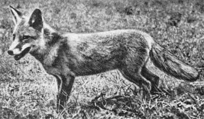 Силуэты на облаках - i_171.jpg