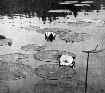 Силуэты на облаках - i_204.jpg