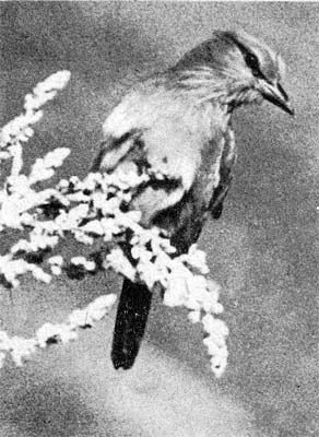 Силуэты на облаках - i_213.jpg