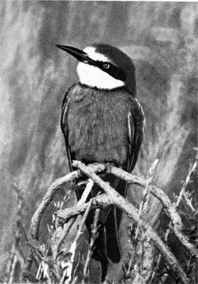 Силуэты на облаках - i_215.jpg