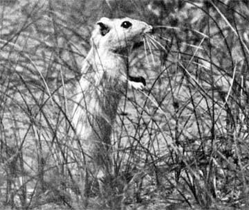 Силуэты на облаках - i_236.jpg