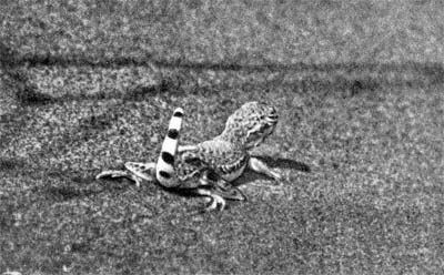 Силуэты на облаках - i_238.jpg