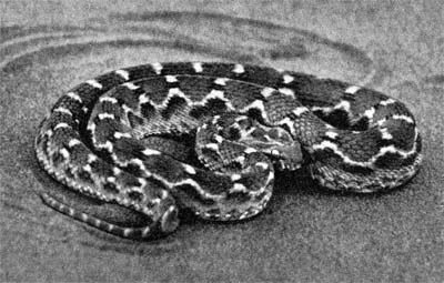 Силуэты на облаках - i_239.jpg