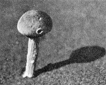 Силуэты на облаках - i_242.jpg