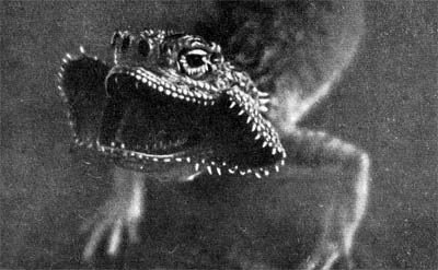 Силуэты на облаках - i_243.jpg