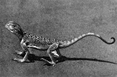 Силуэты на облаках - i_244.jpg