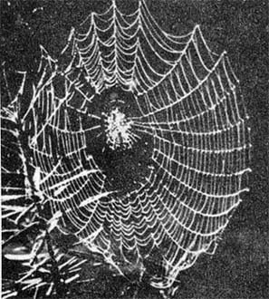 Силуэты на облаках - i_275.jpg