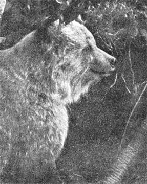 Силуэты на облаках - i_277.jpg