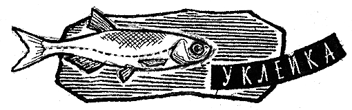 Рыбьи дорожки - i_001.png