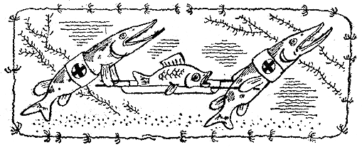 Рыбьи дорожки - i_036.png
